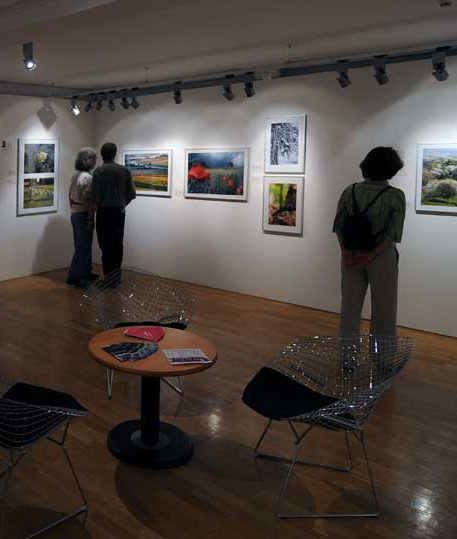 Natur vor der Tür – Jubiläumsausstellung im Naturkundemuseum feierlich eröffnet
