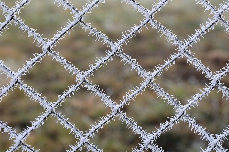 Februar 2022 Muster - Horst Hirning