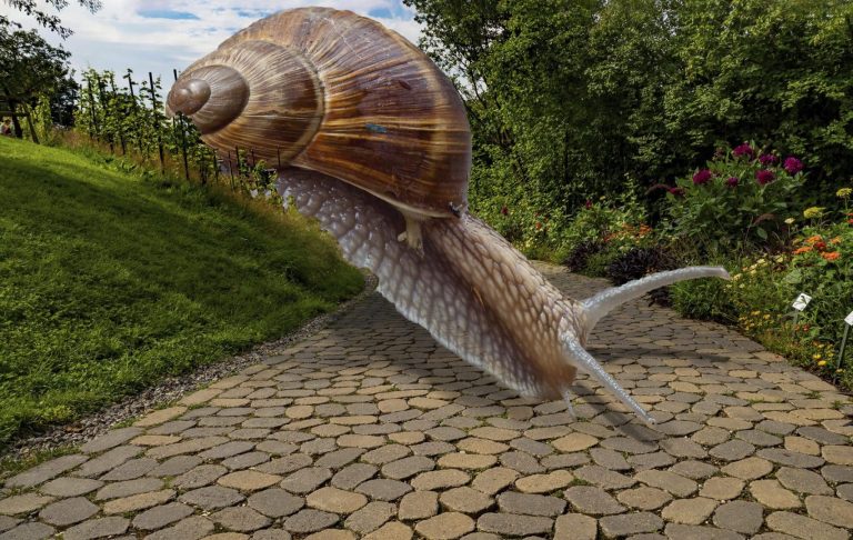 April 2022 Kleines groß - "Kleine Schnecke" - Friedemann Rupp