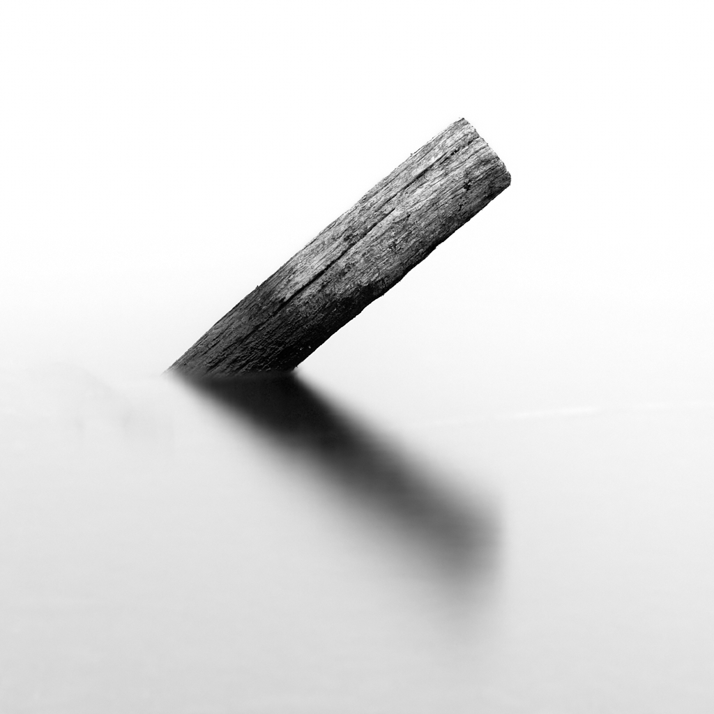 Holzstab im Bodensee