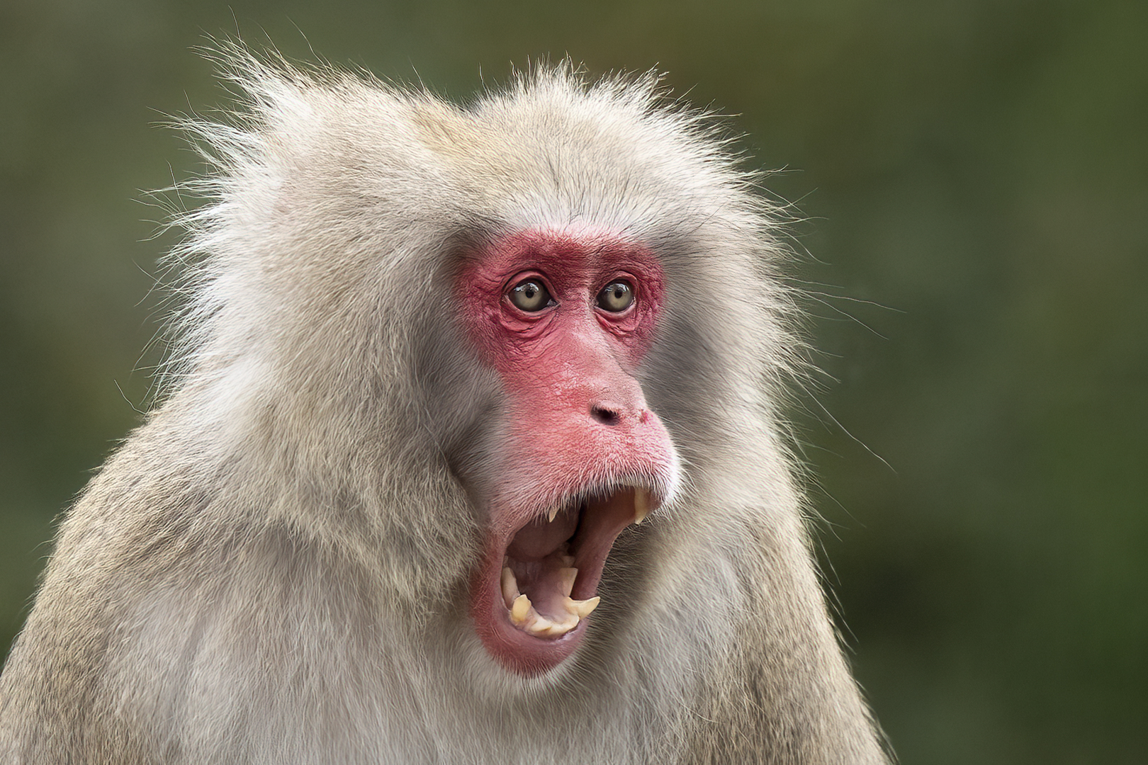 Monika Egerer: Schrecksekunde