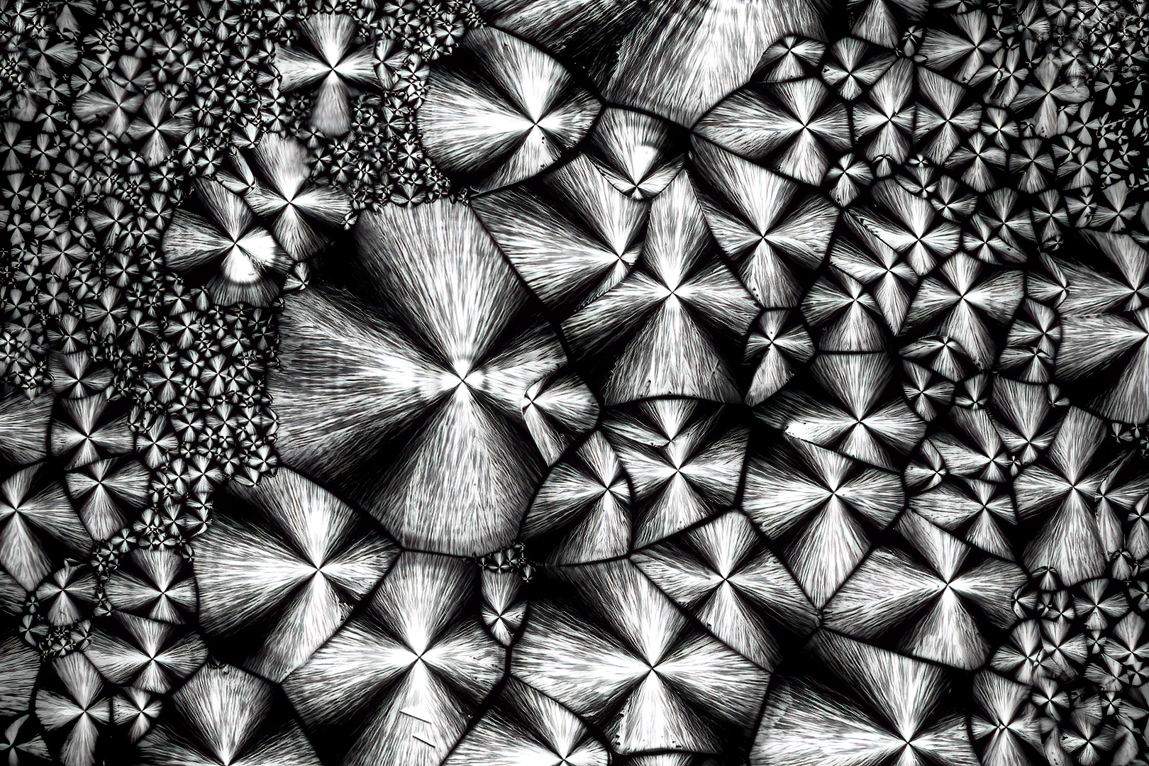 Erich Schlotterbeck. Kristallblume. Annahme