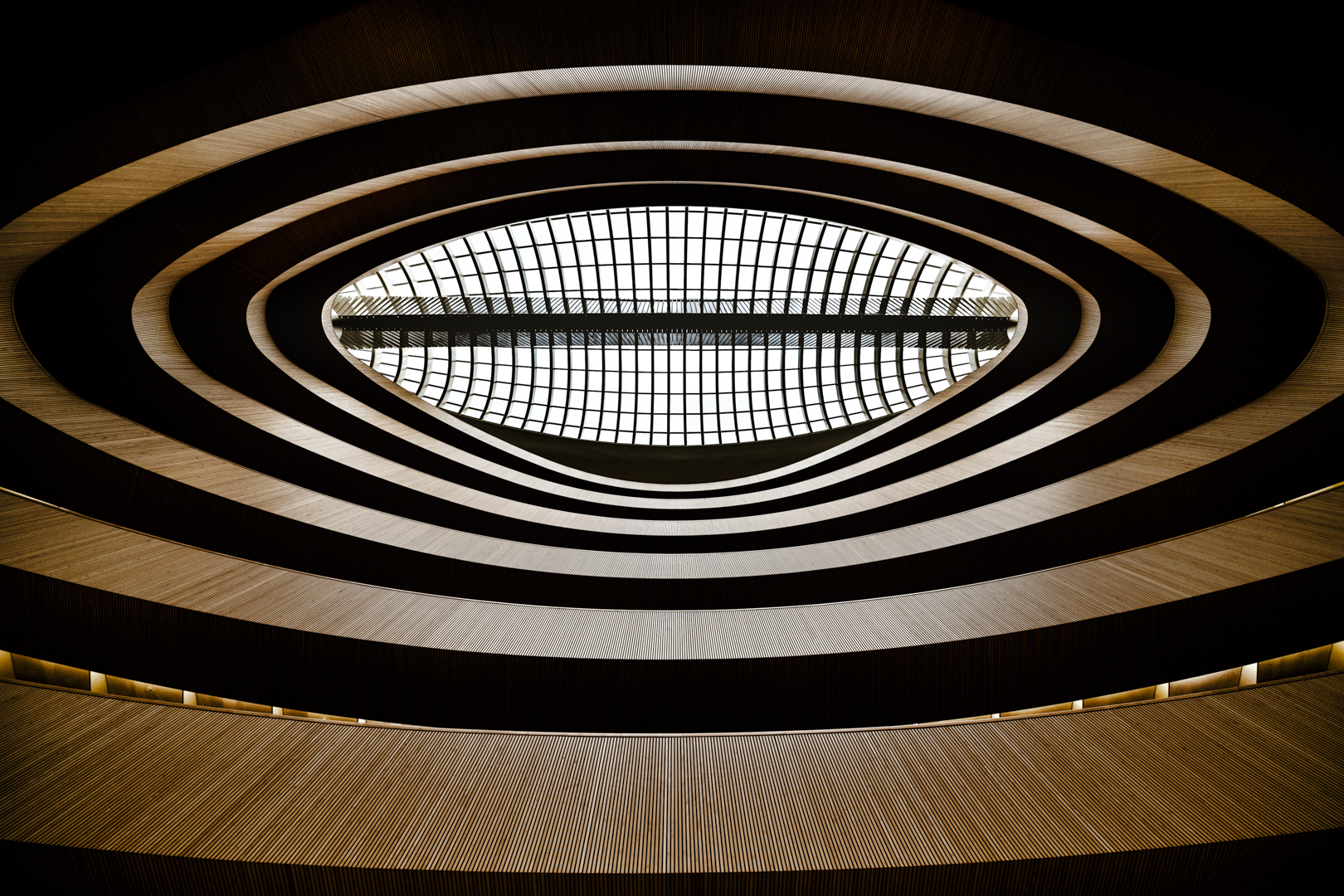 Monika Egerer: Hahaha