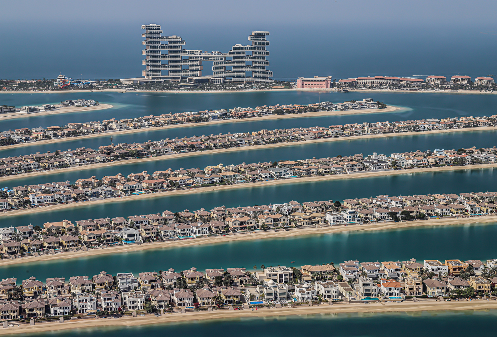 Eberhard Gruner: The Palm. Urkunde