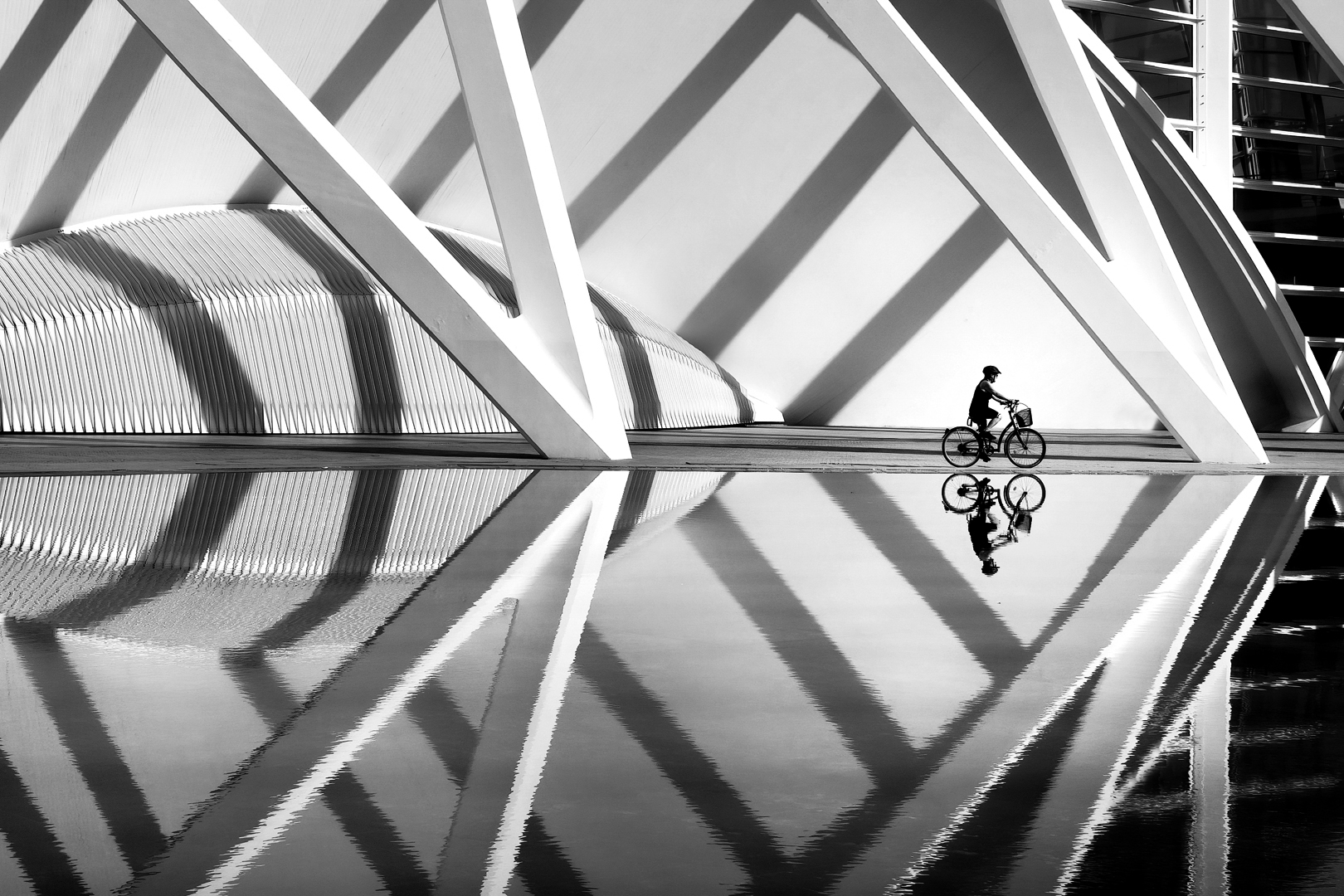 Erich Schlotterbeck. Radler. Annahme