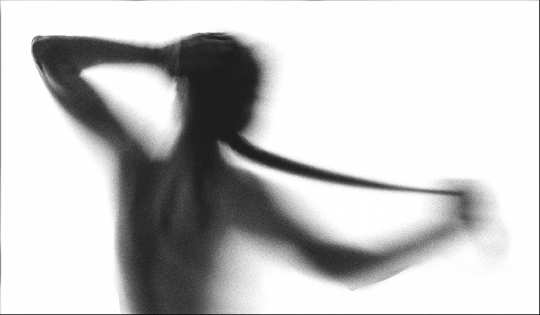 Rainer Otto. Der Zopf. Annahme