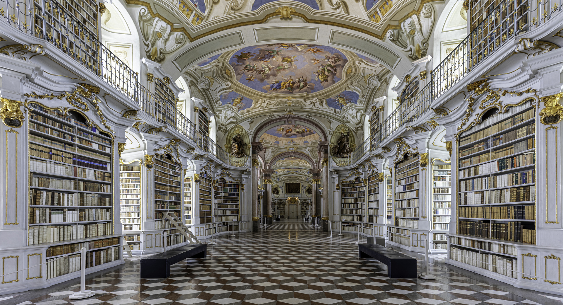 Horst Hirning: Bibliothek Admont, Annahme