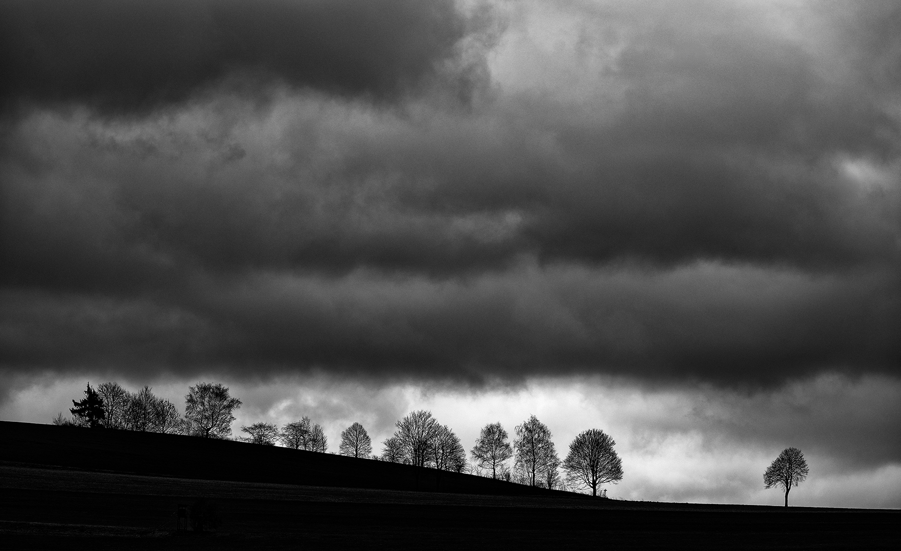 Roland Rieker: Vor dem Gewitter, Annahme