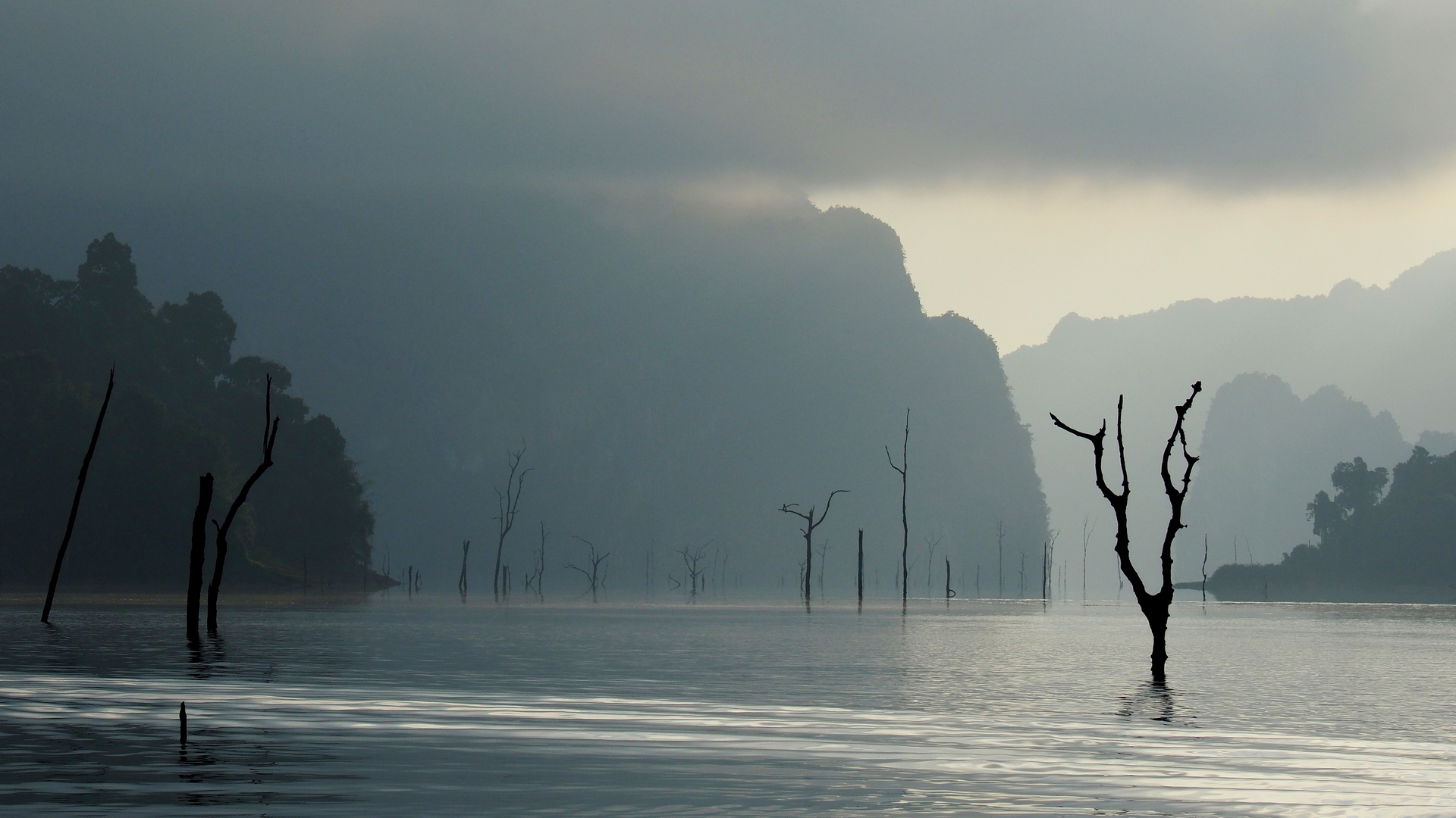 2. Platz: Ghost Forest von Bischoff, Helmar